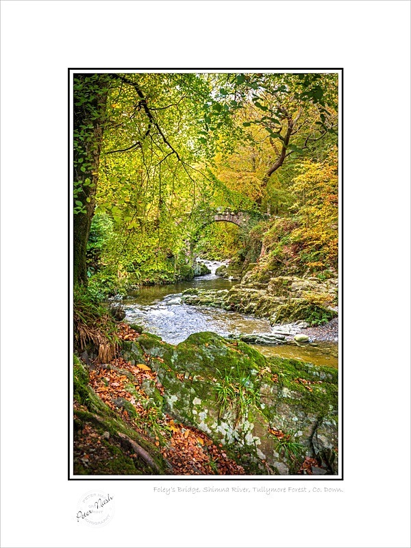 01 9x12 2022-557C Foleys Bridge Shimna River Tullymore Forest Co Down - Down