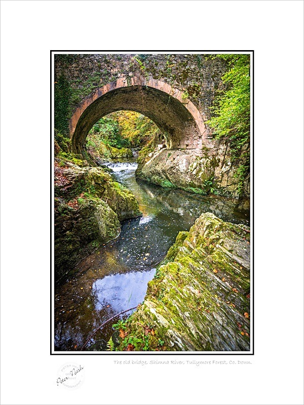 01 9x12 2022-536C The old bridge River Shimna Tullymore Forest Co Down - Down