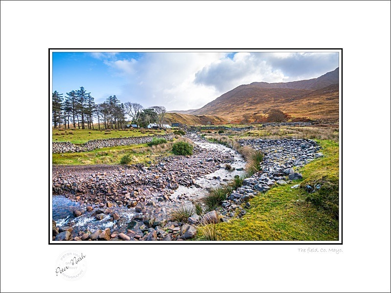 01 9x12 2023-006C The Field Co Mayo - Mayo