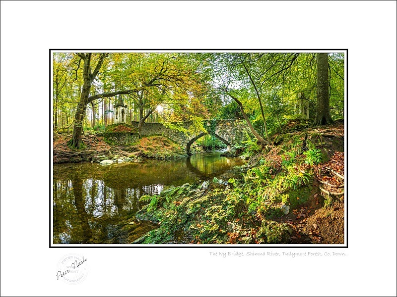 01 9x12 2022-544Cp The Ivy Bridge Shimna River Tullymore Forest Co Dow - Down