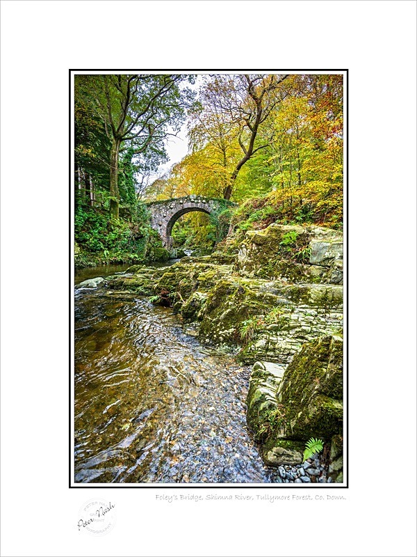 01 9x12 2022-546C Foleys Bridge Shimna River Tullymore forest Co Down - Down