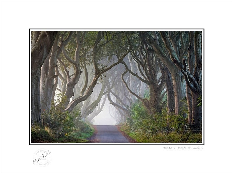 2014-172C The Dark Hedges Co Antrim - Co. Antrim