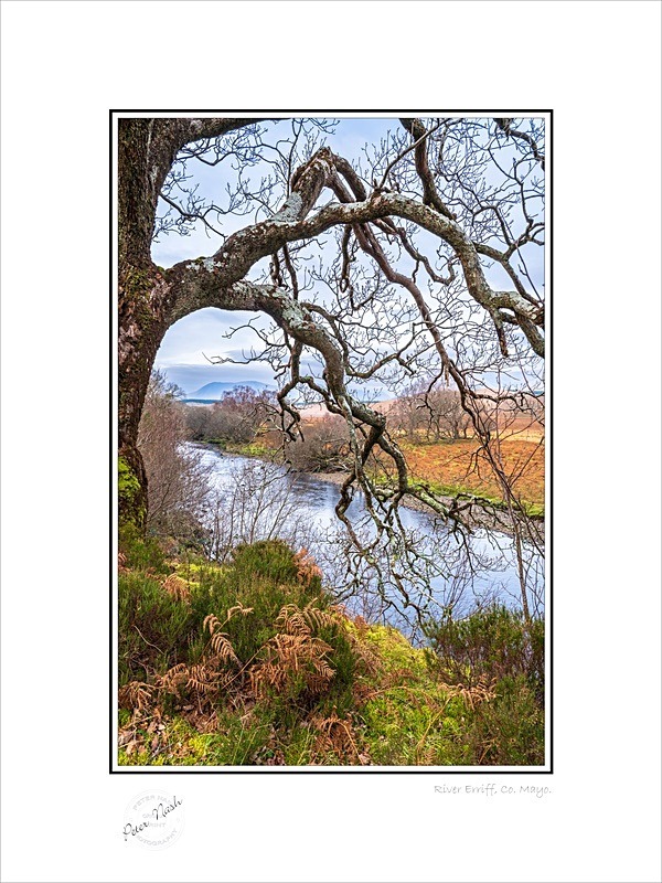 01 9x12 2022-061C River Erriff Co Mayo - Mayo