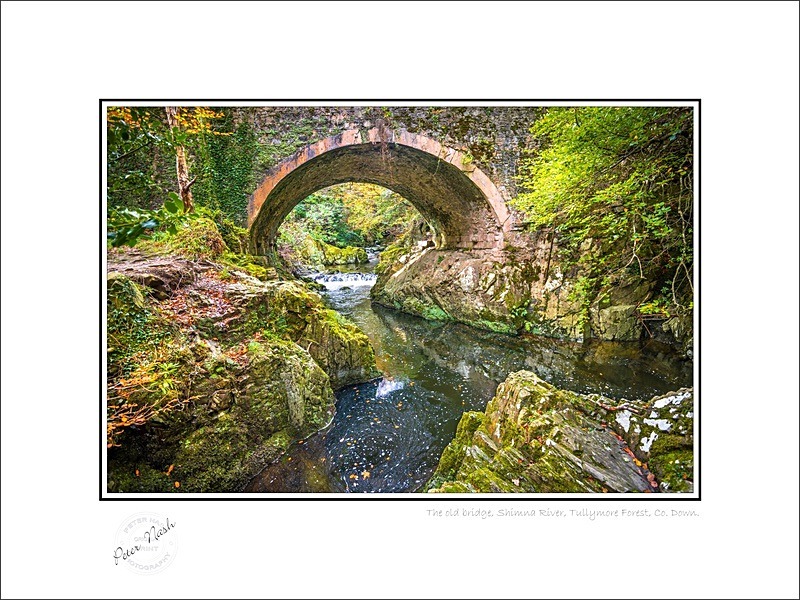 01 9x12 2022-537C The old bridge Shimna River Tullymore Forest Co Down - Down