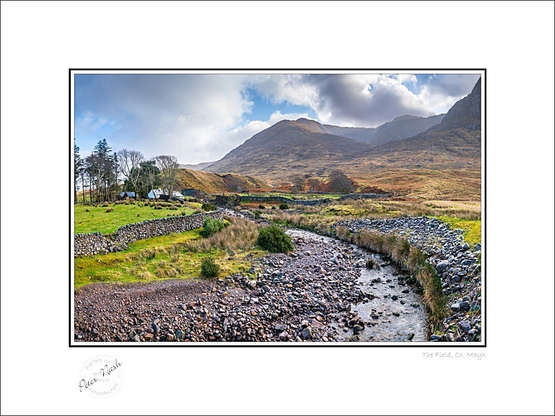 01 9x12 2023-010Cp The field Co mayo - Mayo