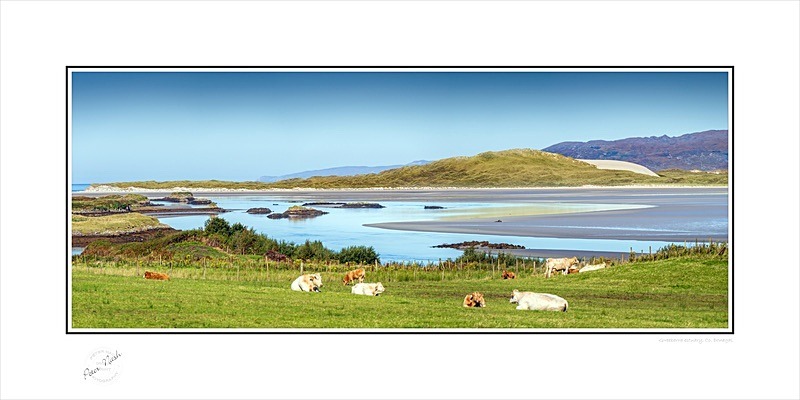 03 12x24 2024-188CP Gweebarra estuary Co Donegal - Donegal