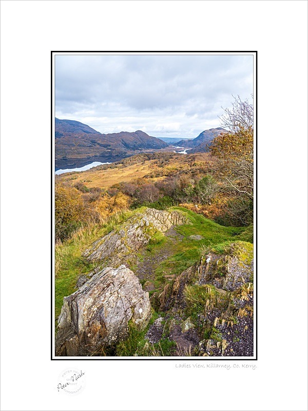 01 9x12 2021-256C Ladies View Killarney Co Kerry - Kerry