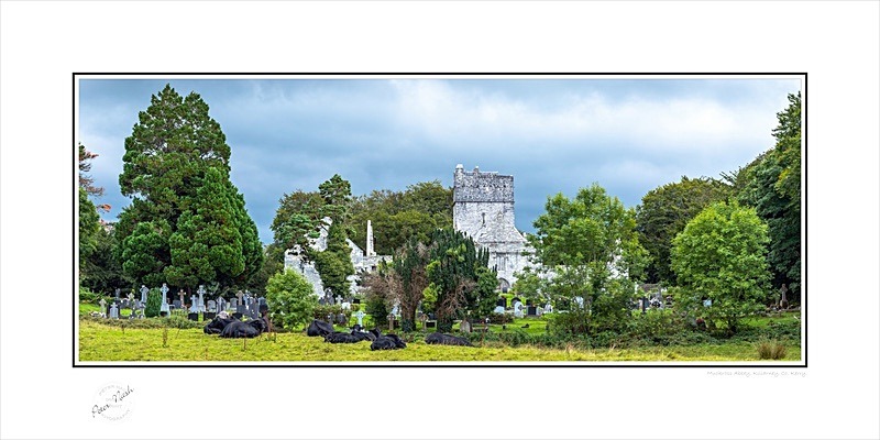 03 12x24 2021-380CP Muckross Abbey Killarney Co kerry - Kerry