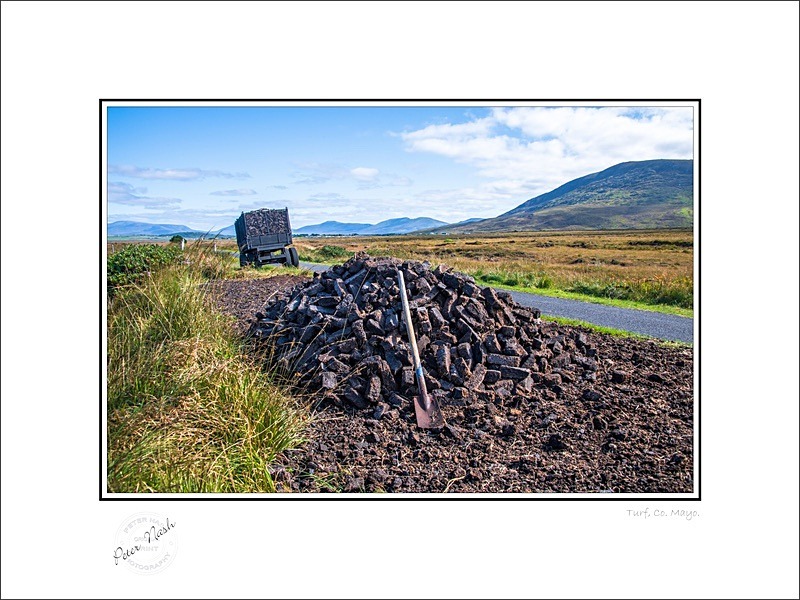 01 9x12 2022-443C Turf Co Mayo - Mayo