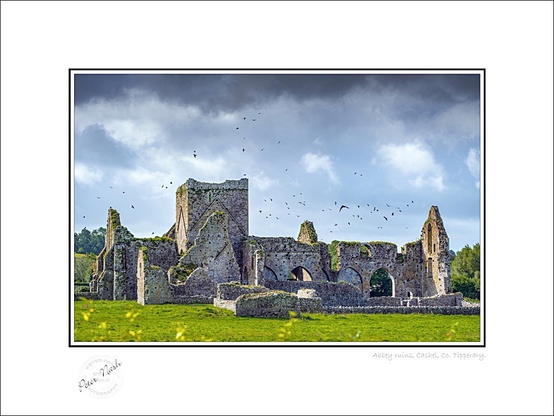 01 9x12 2019-793C Abbey ruins Cashel Co Tipperary - Tipperary