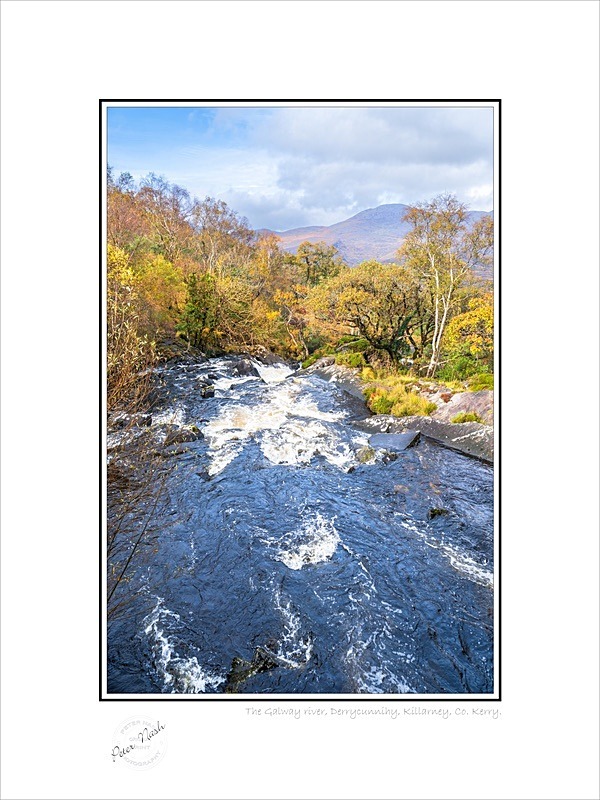 01 9x12 2021-240C The Galway River Derrycunnihy Killarney Co Kerry - Kerry