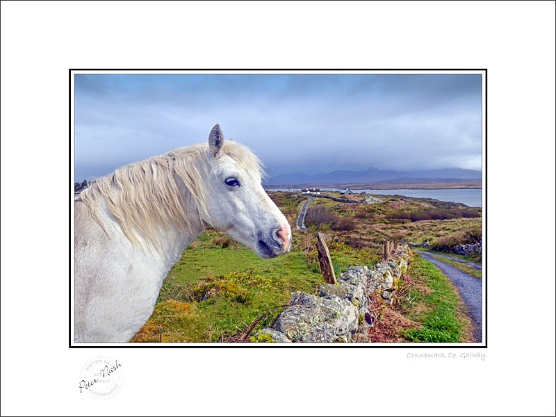 01 9x12 2012-078C Connemara Co Galway - Galway