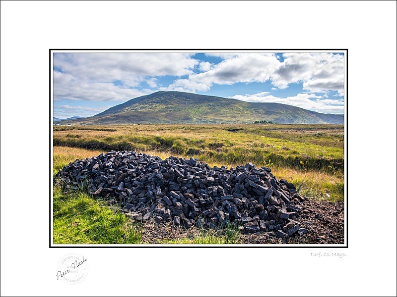 01 9x12 2022-442C Turf Co Mayo - Mayo