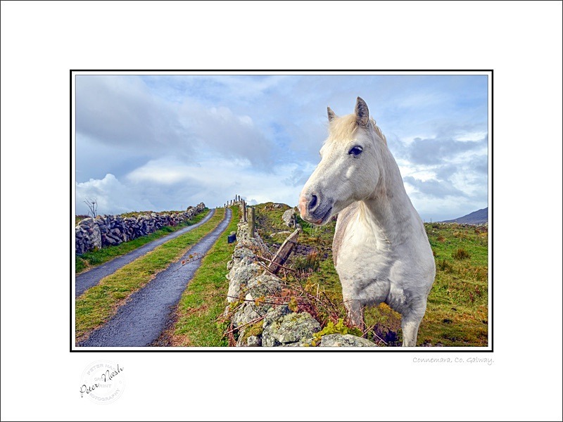 01 9x12 2012-074C Connemara Co Galway - Galway