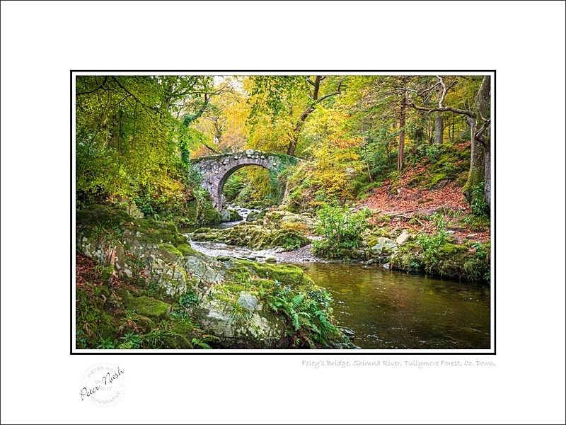 01 9x12 2022-552C Foleys Bridge Shimna River Tullymore Forest co Down - Down