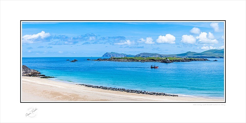 03 12x24 2023-589CP Seal Colony Great Blasket Island Co kerry - Kerry