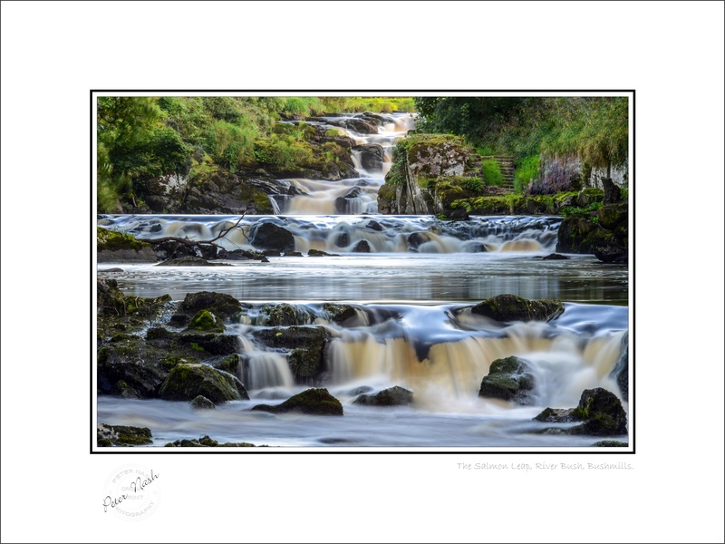 2012-021C Salmon Leap River Bush Bushmills - Co. Antrim