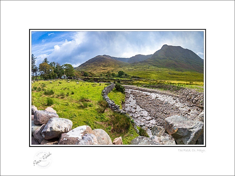 01 9x12 2025-160Cp The Field Co Mayo - Mayo