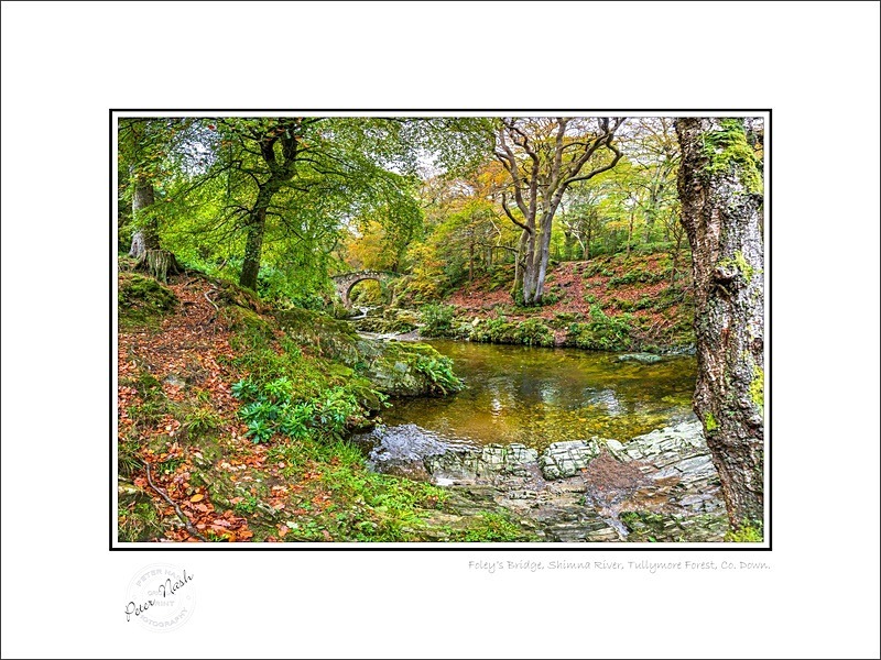 01 9x12 2022-555C Foleys Bridge Shimna River Tullymore Forest Co Down - Down