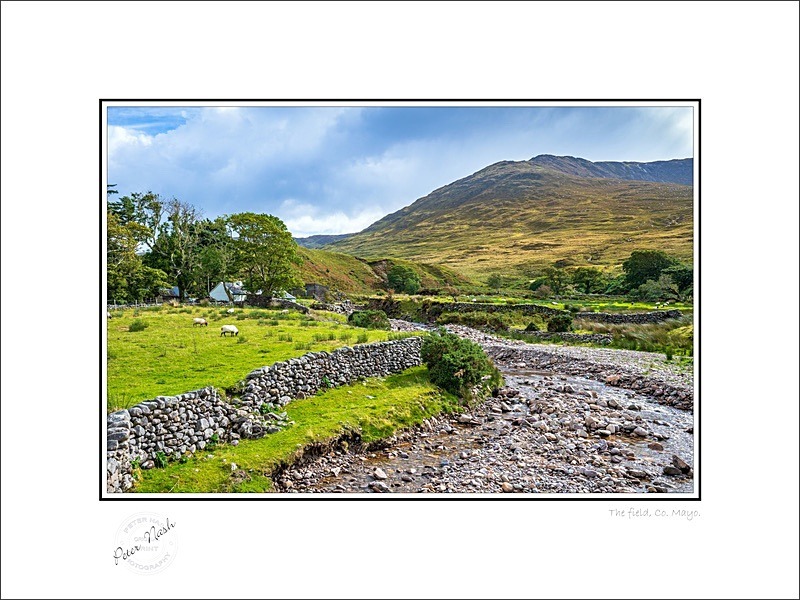 01 9x12 2025-159C the field Co Mayo - Mayo