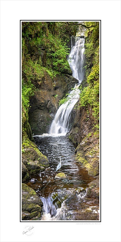 03 12x24 2025-031Cp Glenariff Waterfall Co Antrim - Co. Antrim