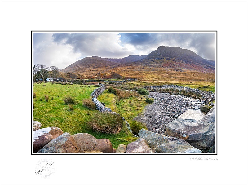 01 9x12 2023-004Cp The Field Co Mayo - Mayo