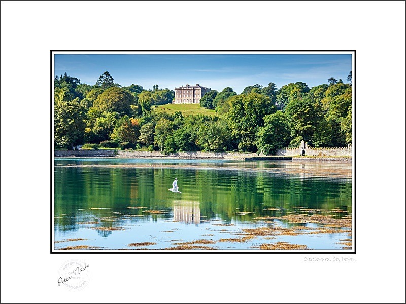 01 9x12 2022-494C Castleward Co Down - Down