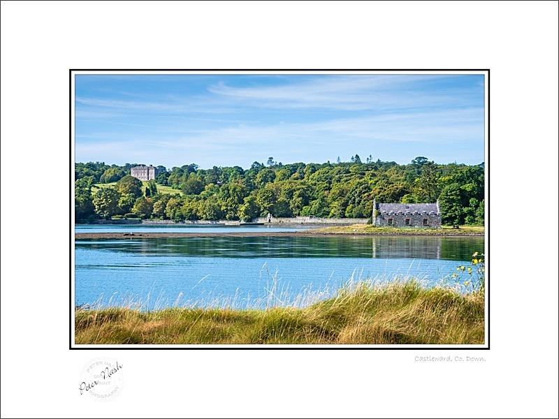 01 9x12 2022-500C Castleward Co Down - Down