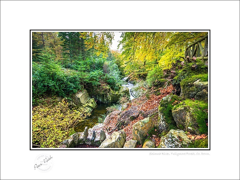 01 9x12 2022-533C Shimna River Tullymore Forest Co Down - Down