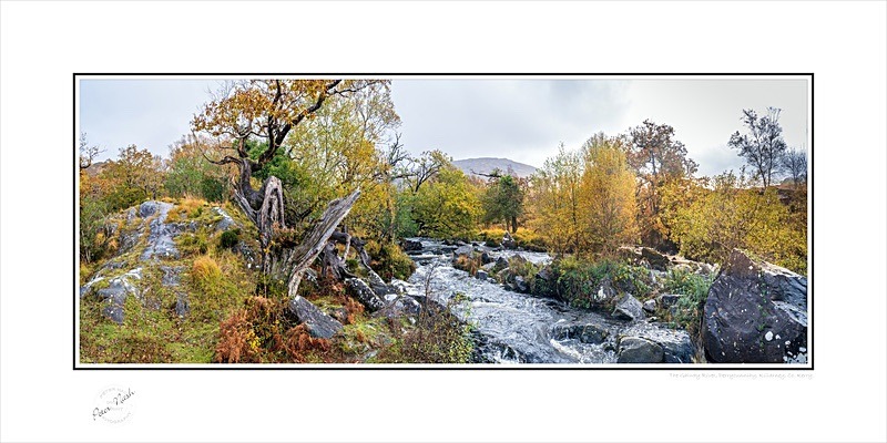 03 12x24 2021-237CP The Galway River Derrycunnihy Killarney co Kerry - Kerry