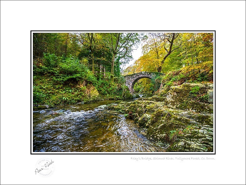 01 9x12 2022-545C Foleys Bridge Shimna River Tullymore Forest Co Down - Down