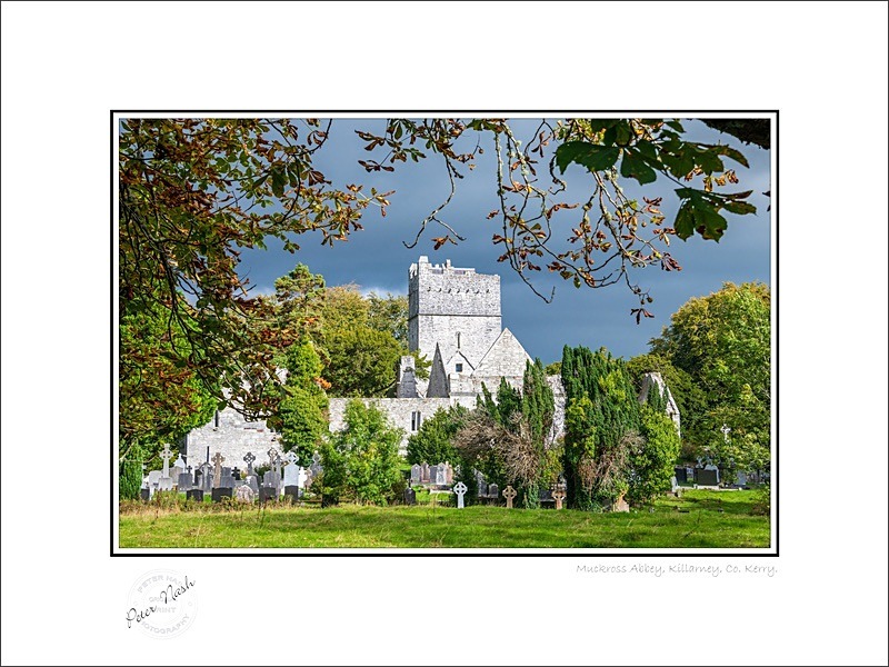 01 9x12 2022-469C Muckross Abbey Killarney Co Kerry - Kerry