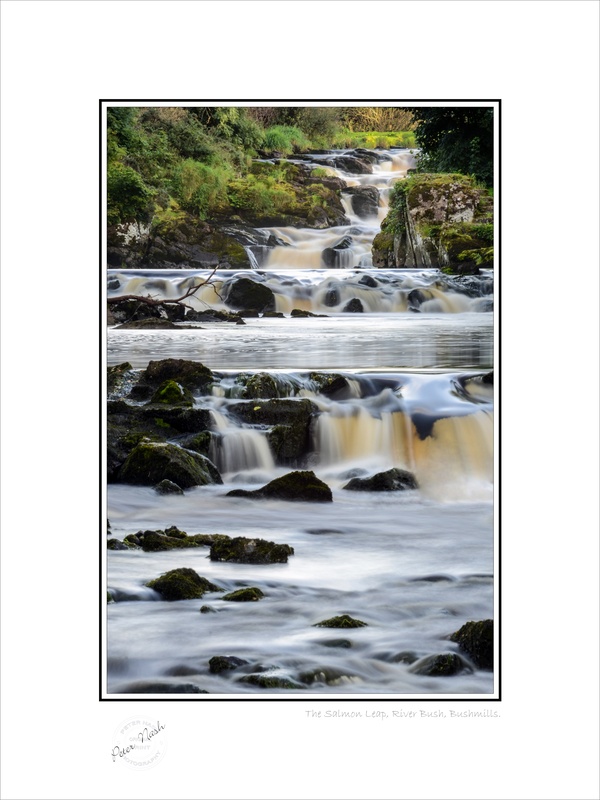 2012-016C The Salmon Leap River Bush Bushmills - Co. Antrim