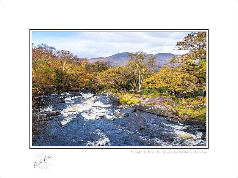 01 9x12 2021-238C The Galway River Derrycunnihy Killarney Co Kerry - Kerry