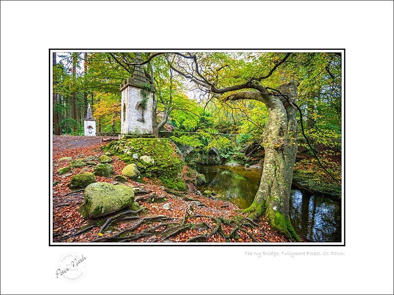 01 9x12 2022-539C The Ivy Bridge Tullymore Forest Co Down - Down
