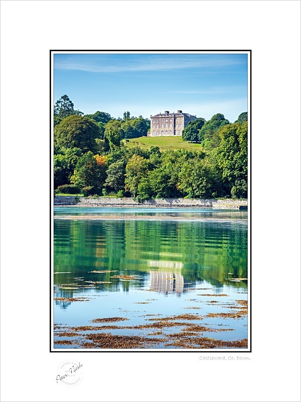 01 9x12 2022-493C Castleward Co Down - Down