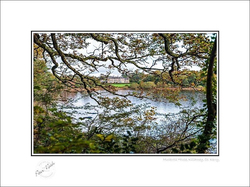 01 9x12 2021-268C Muckross House Killarney Co Kerry - Kerry