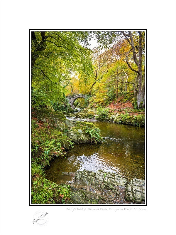 01 9x12 2022-551C Foleys Bridge Shimna River Tullymore Forest Co Down - Down