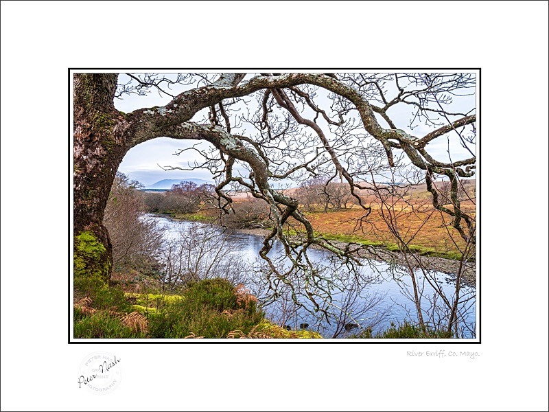 01 9x12 2022-060C River Erriff Co Mayo - Mayo
