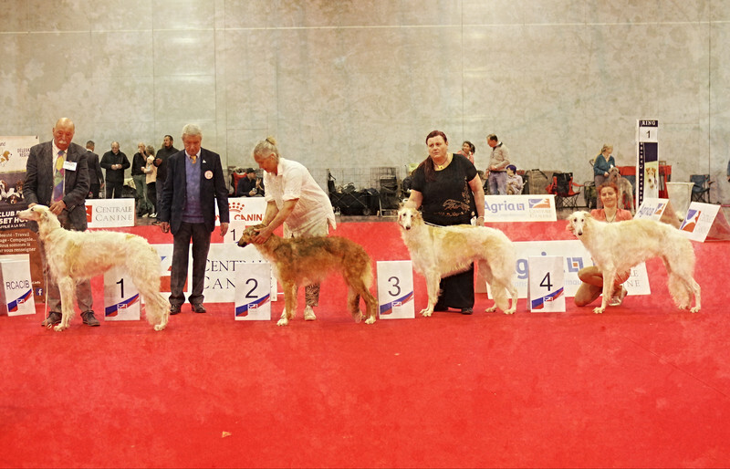 females Junior class - European Dog Show 2022 Paris / SATURDAY