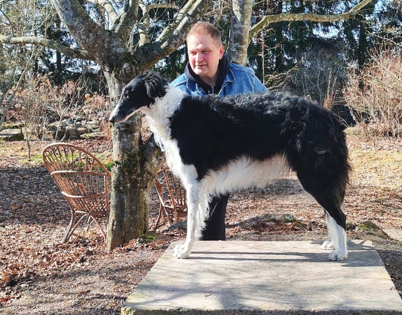 3 years - 3 - Ulva Swan Love du Domaine D'Iasnaia-Poliana 'Amy'