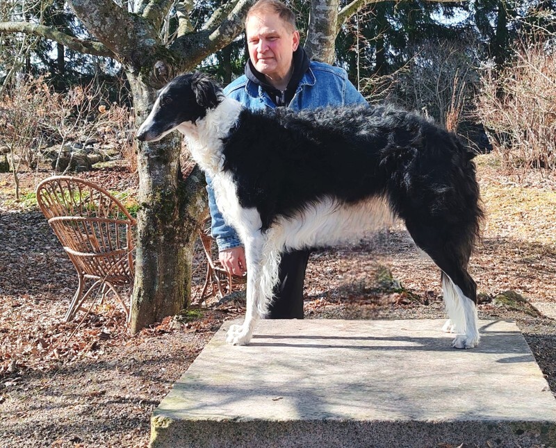 3 years - 2 - Ulva Swan Love du Domaine D'Iasnaia-Poliana 'Amy'