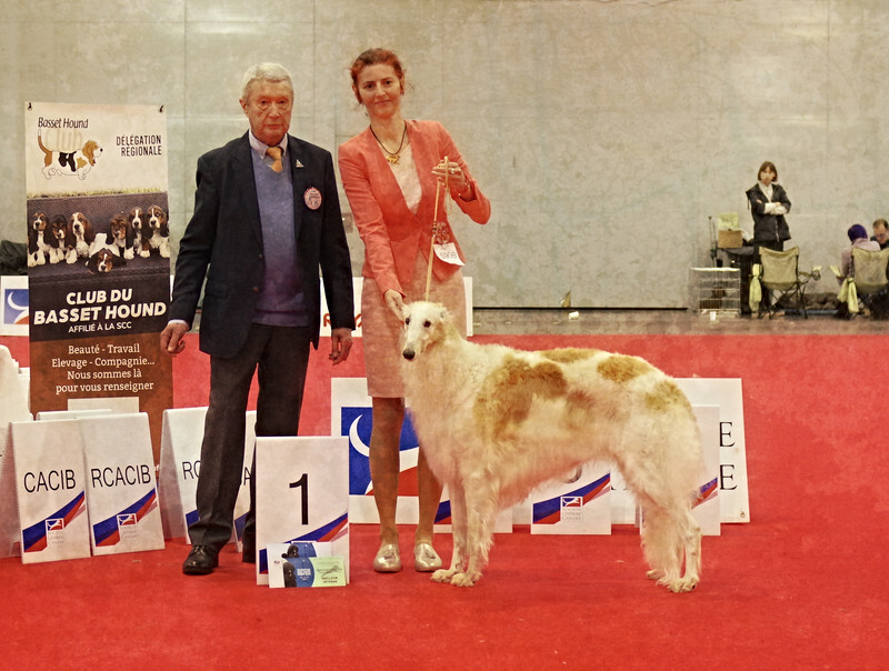 females Veteran class - European Dog Show 2022 Paris / SATURDAY