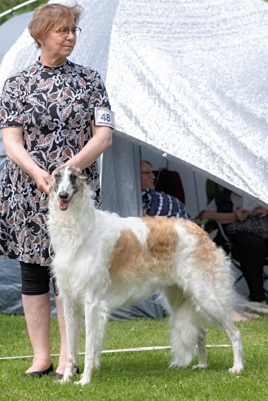 2022 Specialty show 1 - Believe del Octubre Rojo 'Salsa'
