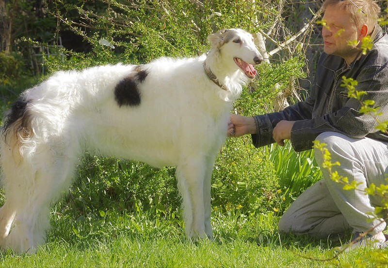 May2021 1 - LT Ch Tantezampe Keep On Smiling at Miskat 'Penny'