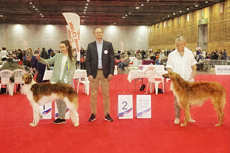 BEST OF BREED - European Dog Show 2022 Paris / FRIDAY