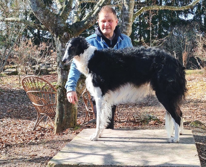 3 years - 4 - Ulva Swan Love du Domaine D'Iasnaia-Poliana 'Amy'