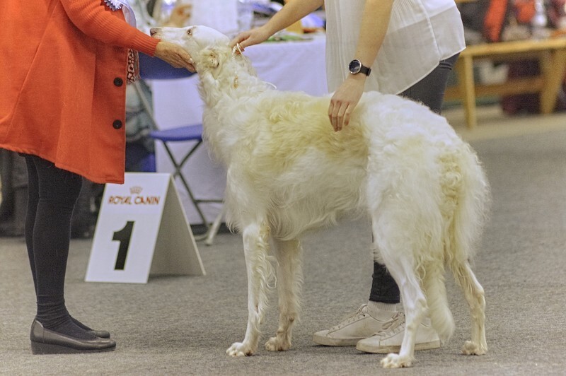 females, Sokol & K Ora Et Labora - Helsinki Winner 2021
