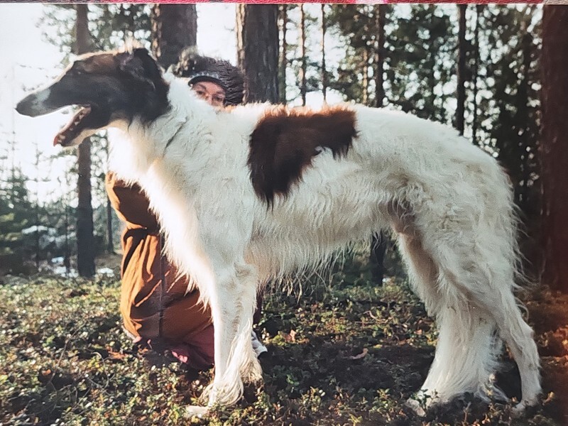 Miskat Tzar Bariznik 'Eetu' - Miskat Maladetz 'Warlock'