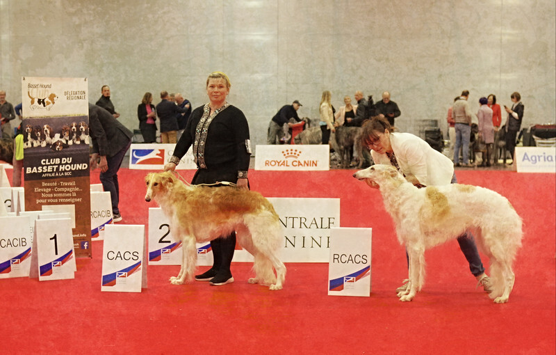 females CAC, RCAC - European Dog Show 2022 Paris / SATURDAY